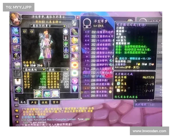 魔兽世界80级奶骑：装备属性提升攻略